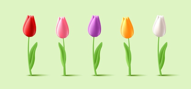 Vettore fiori di tulipano sullo stelo con foglie set di illustrazioni 3d con diverse forme di fiori a colori