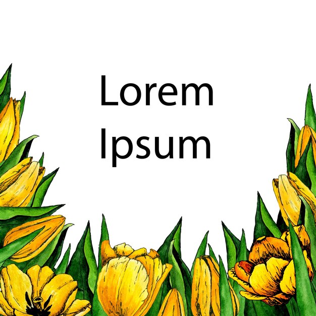 Confine dell'acquerello degli elementi disegnati a mano del tulipano