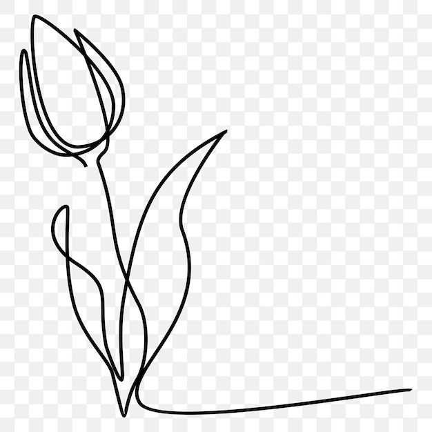 Tulip line art contour drawing vector