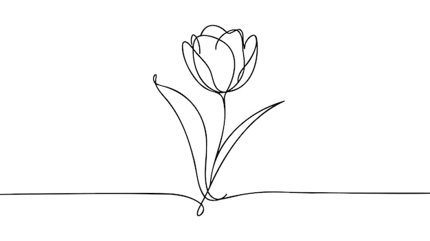 Вектор Тюльпан однолинейный рисунокабстрактный цветок непрерывная линия минималистский контурный рисунак тюльпана