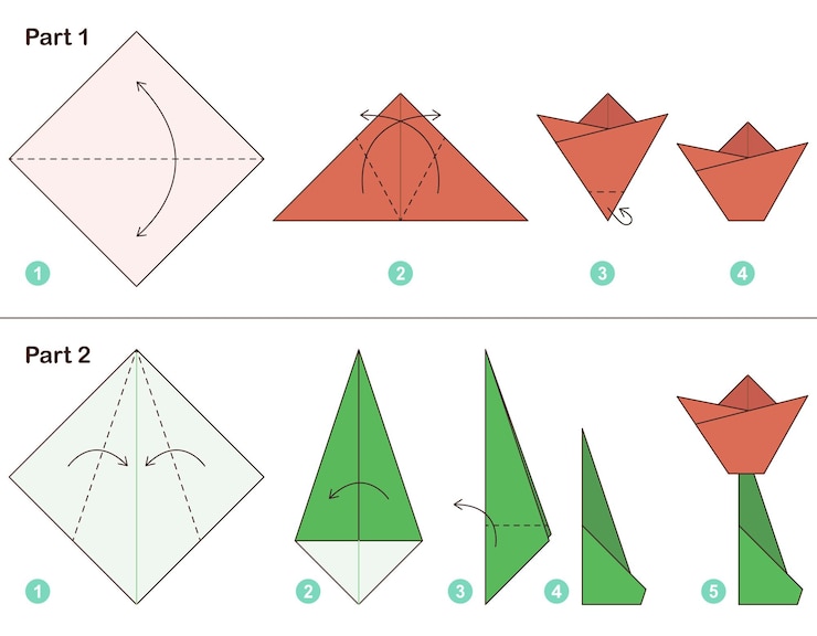 Vector tulip origami schema tutorial bewegend model. origami voor kinderen. stap voor stap