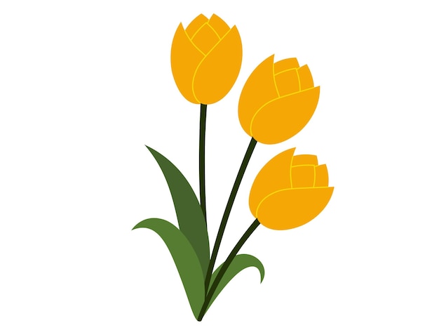 Vector tulip spring blossom flowers illustration