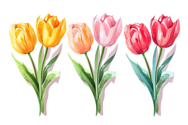 Tulip vector set collection graphic clipart design Flat vector illustration isolated on white background