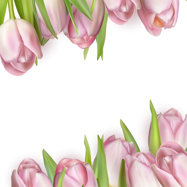 Tulips background frame