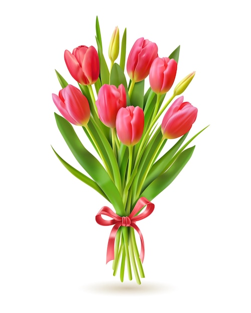 Vector tulips bouquet on white