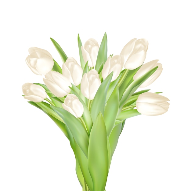 Tulips decorative background with copy space. 