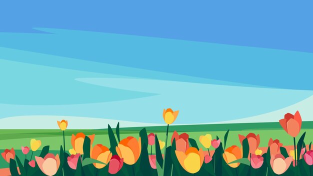 Vector tulips of different colors on the meadow