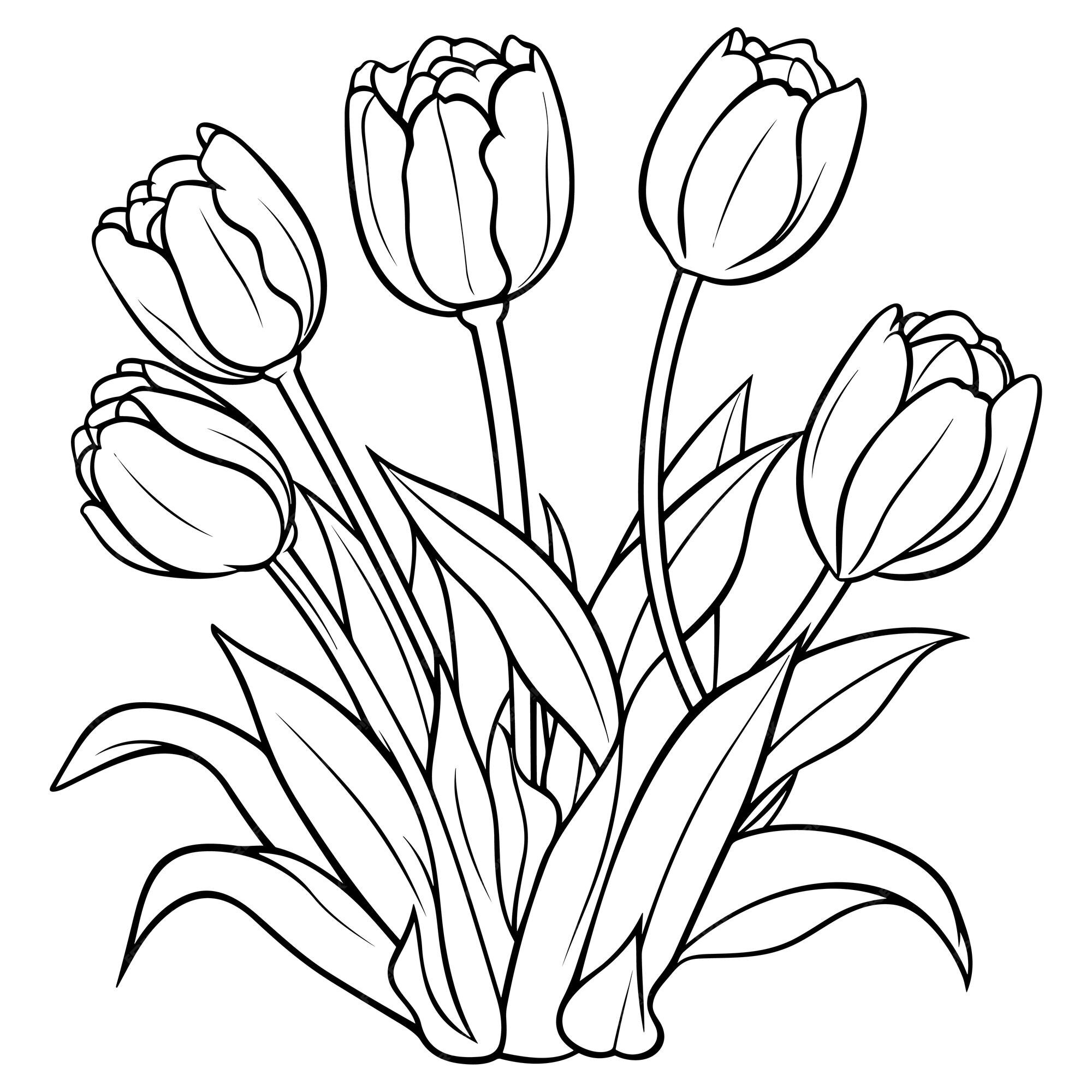 Premium Vector | Tulips flower line art vector illustration set ...