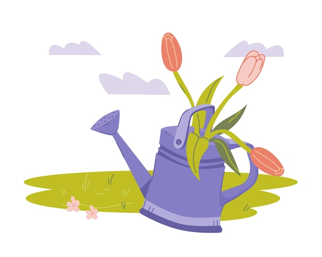 Вектор Цветы тюльпанов в поливной банку для весенней карты и отпечатков плоского вектора изолированы