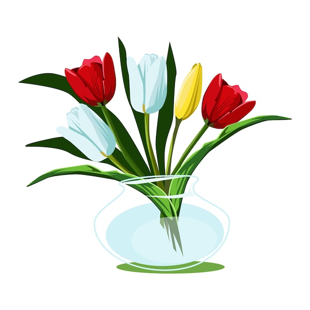 Tulips in glass vase Home plants Cartoon illustration Isolated on white background