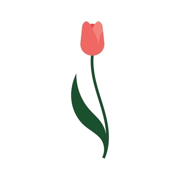 tulips logo vector film icon illustration template design