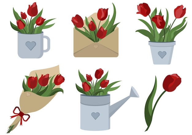 Tulips spring red flowers set in a cup envelope garden watering can for your design