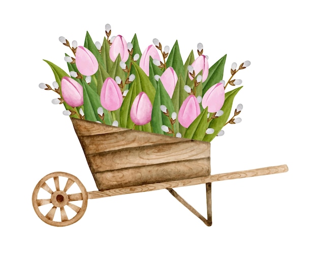 Tulips and willows bouquet in wheelbarrow watercolor hand drawn
easter and spring florist farmhouse illustartion