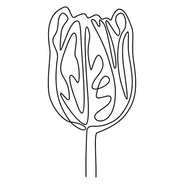 Tulp, doorlopende lijn. vectorillustratie, geïsoleerd op een witte achtergrond.