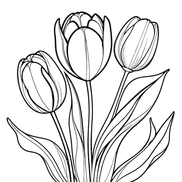Vector tulpen bloem contour digitale kleurpagina voor kinderen en volwassenen