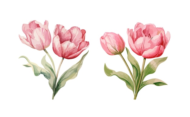 Tulpen clipart geïsoleerde vector illustratie