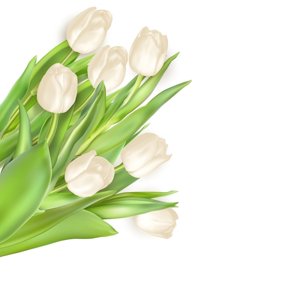 Vector tulpen decoratieve achtergrond.