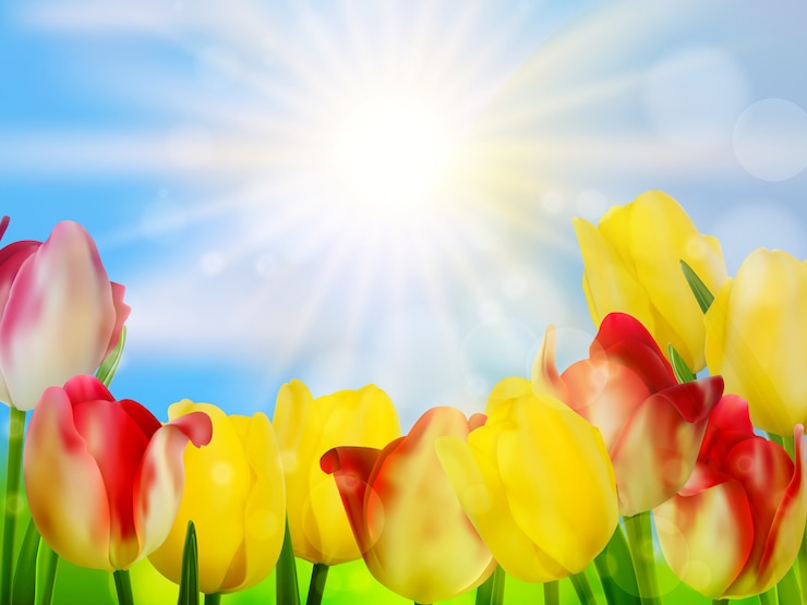 Vector tulpen die in tuin op groen groeien.