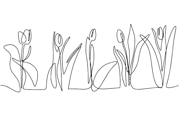 Tulpen getekend in één regel Vectorillustratie geïsoleerd op een witte achtergrond