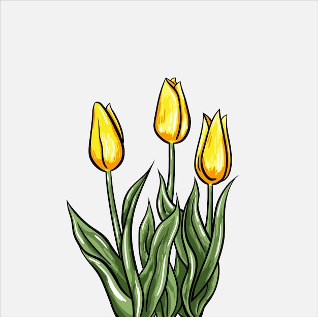 Vector tulpen hand getekend geïsoleerd op witte achtergrond