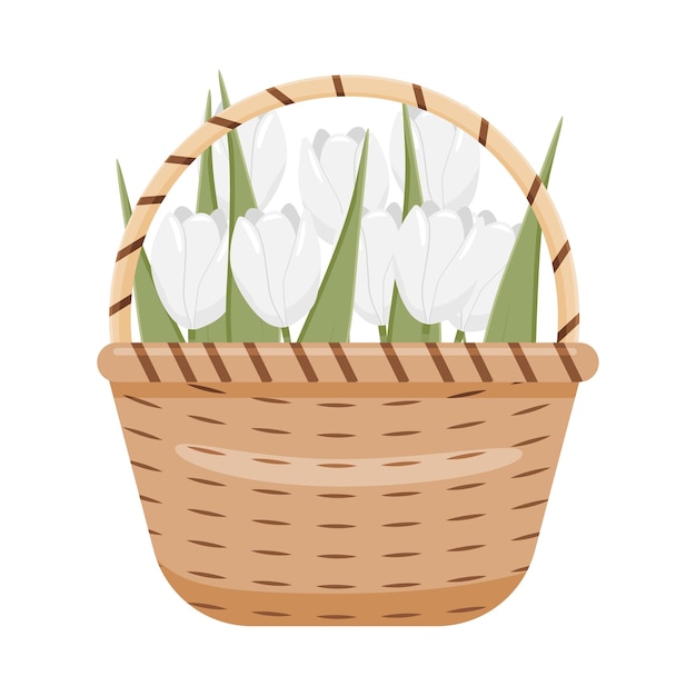 Tulpen in een wicker mand op een witte vector illustratie lente