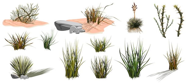 벡터 아프리카 벡터 만화에 있는 회전초 선인장과 모래 사막의 바위 마른 덤불을 굴리는 돌 세트
