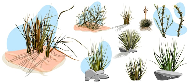 Vector tumbleweed cactussen en rotsen van zandwoestijn in afrika vector cartoon set stenen rollende droge bush