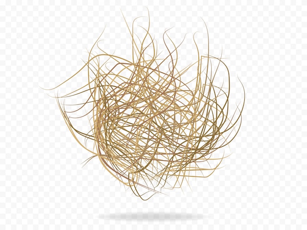 Tumbleweed vector westerse plant.