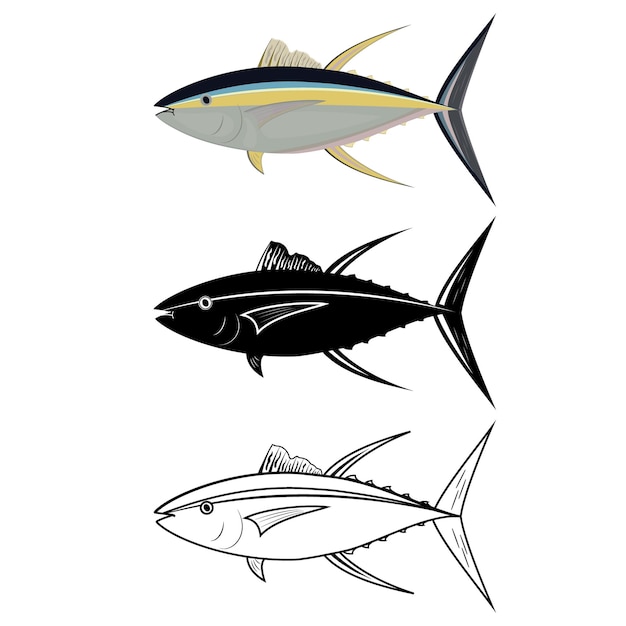 Vector tuna fish in color, outline and stencil, color vector illustration.