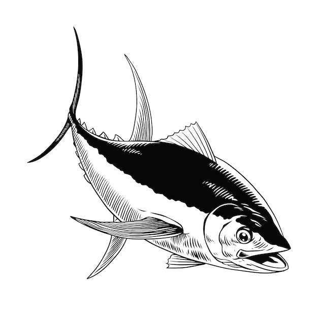 Vector tuna fish hand drawn in vintage engraving style