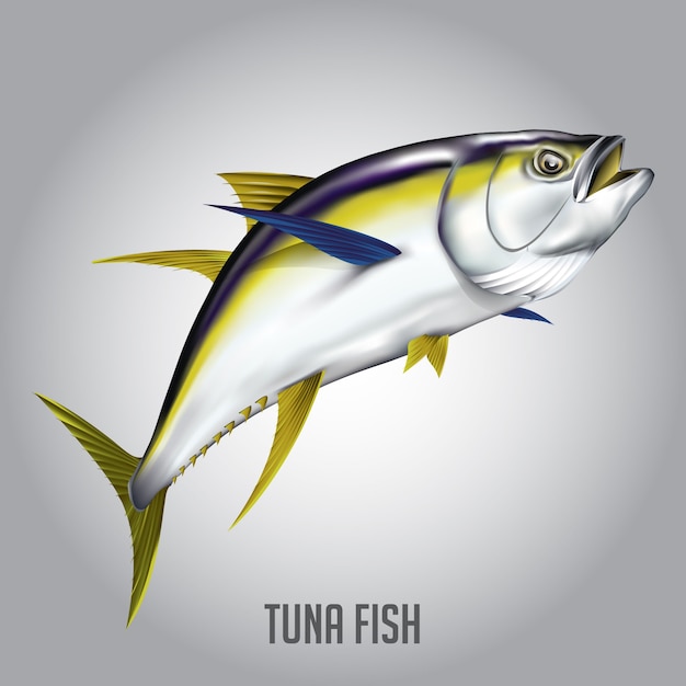 Tuna Fish Vector Illustration