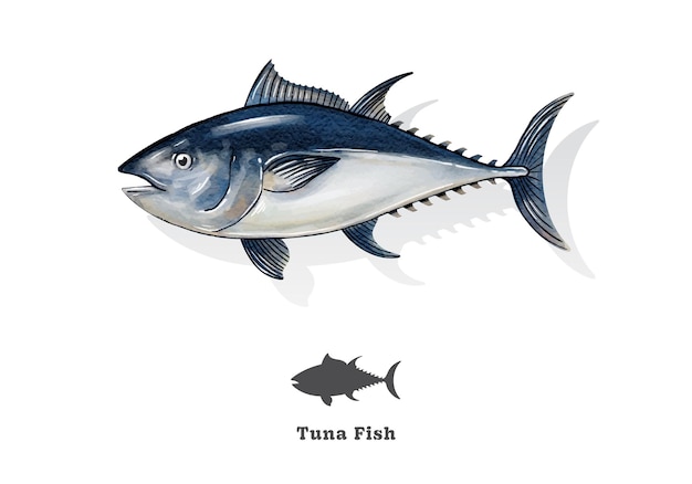 Tuna fish watercolor sketch line art vector illustration