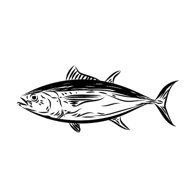 Premium Vector | Tuna high resolution editable logo and illustration ...