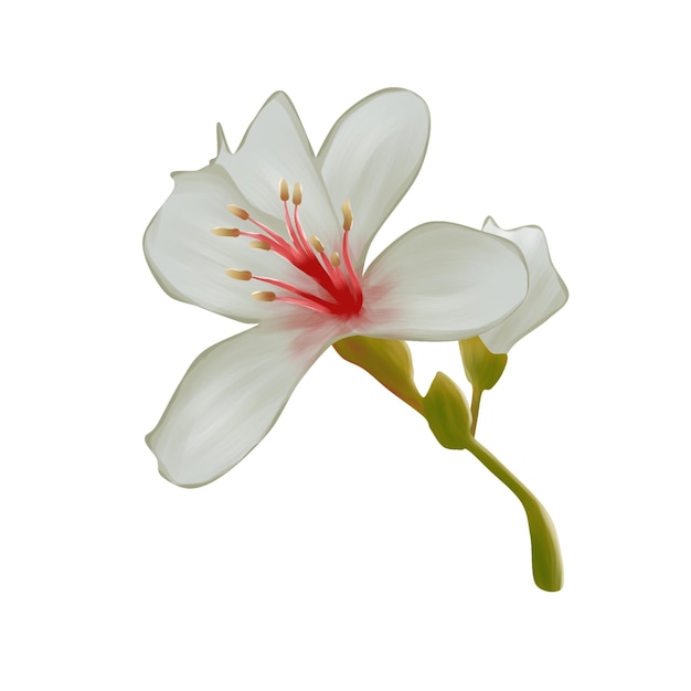 Tung bloesem bloem eenvoudig