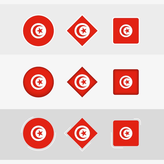 Vector tunisia flag icons set vector flag of tunisia