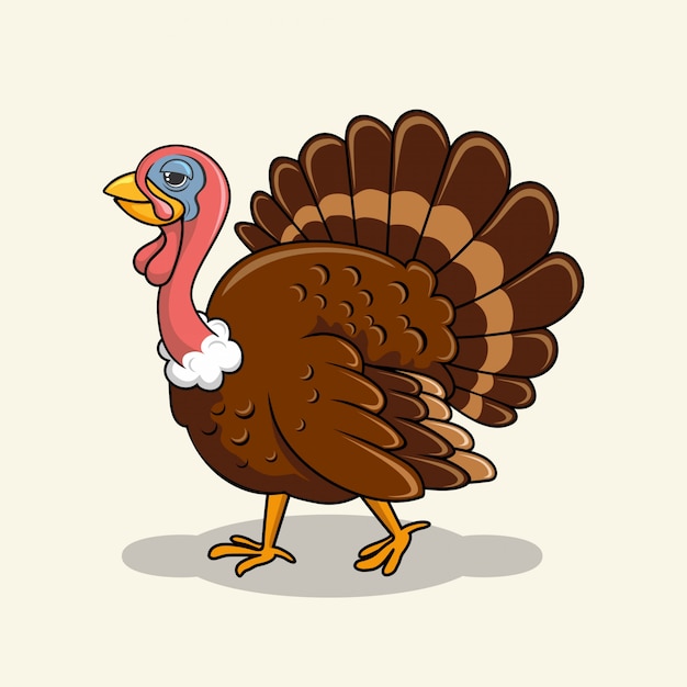 Vector turkey bird cartoon cute peacock animals