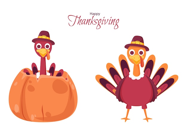 Vector turkey bird illustration