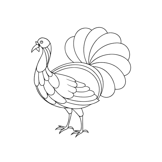 Vector turkey bird line art for coloring book