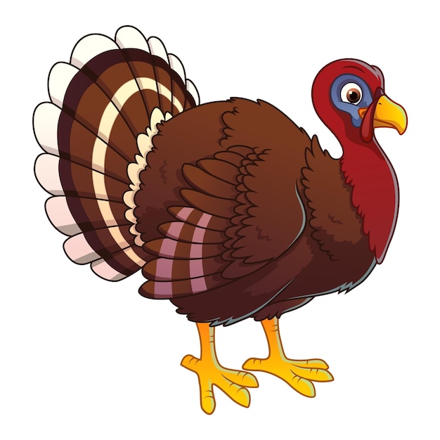 Vector turkey cartoon animal illustration