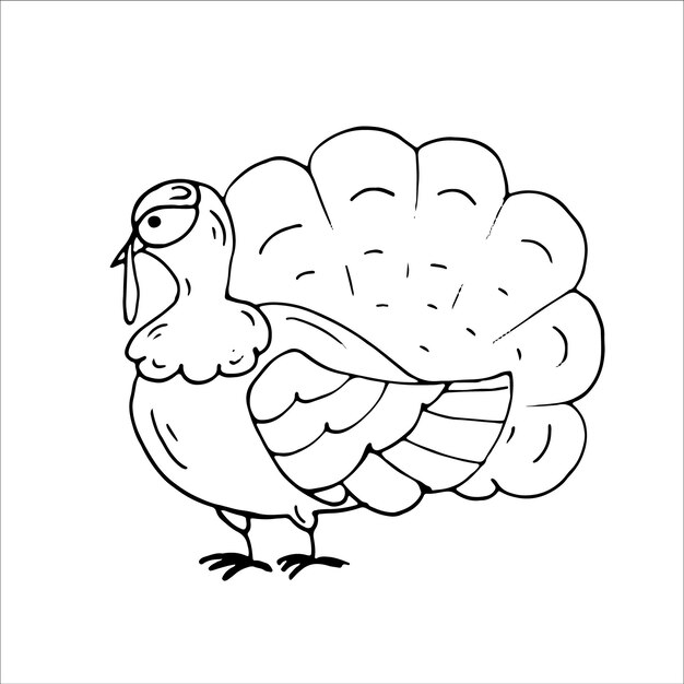 Turkey Coloring Page Thanksgiving day Isolated Vector Illustration