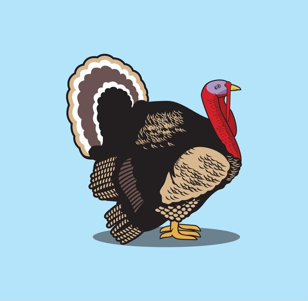 Turkey design illustration