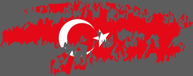 Turkey flag vector 13