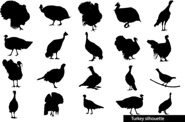 turkey poultry silhouette set