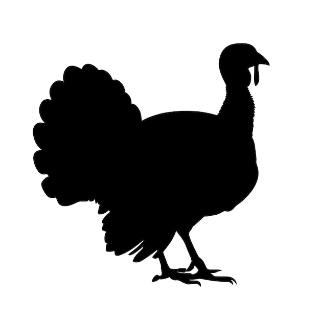 Turkey silhouette isolated on white background vector illustration