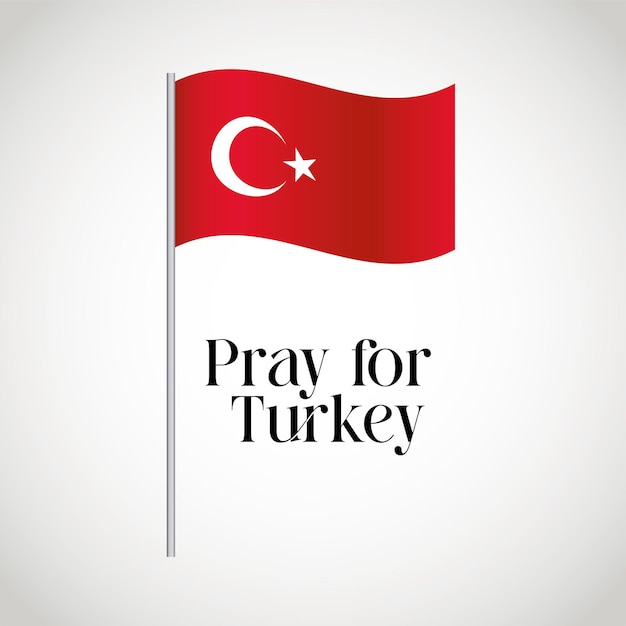 Turkije vlag geïsoleerde vector