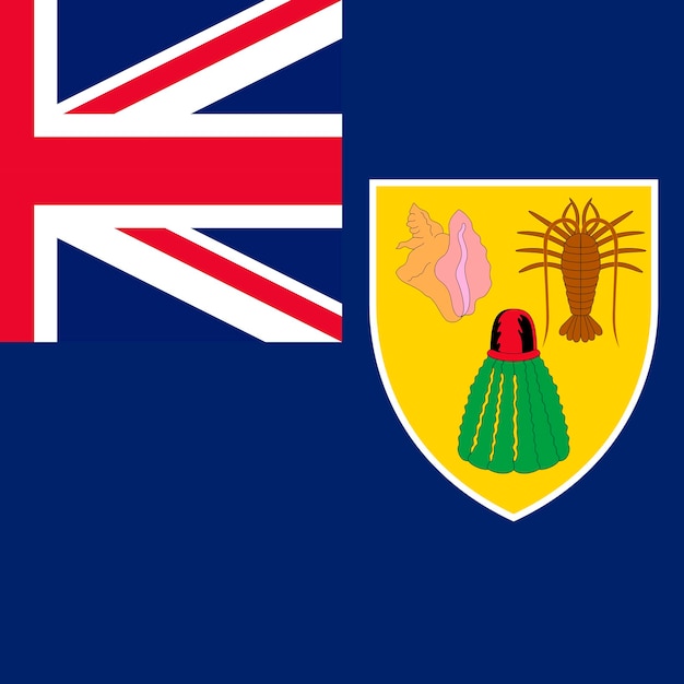 ベクトル タークス ・ カイコス諸島の国旗の公式色ベクトル イラスト