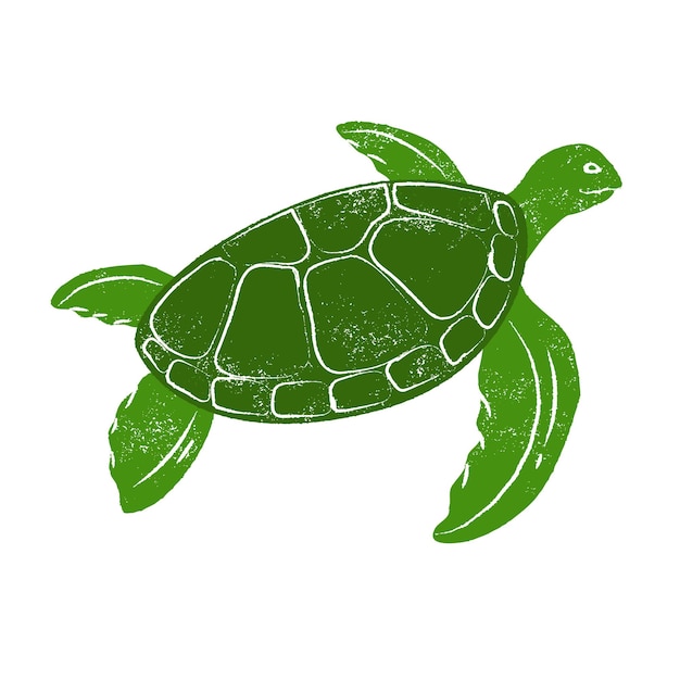 Vector turle