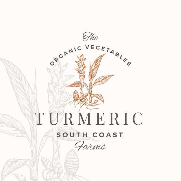 Turmeric Plant Abstract Vector Sign Symbol Logo Template Hand Drawn Flower and Root Sketch Sillhouette with Typography Premium Plant Based Vegan Food Emblem Isolated