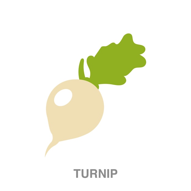 Turnip illustration on transparent background