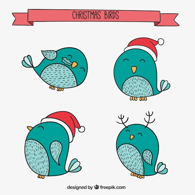 Turquoise kerstmis vogels set